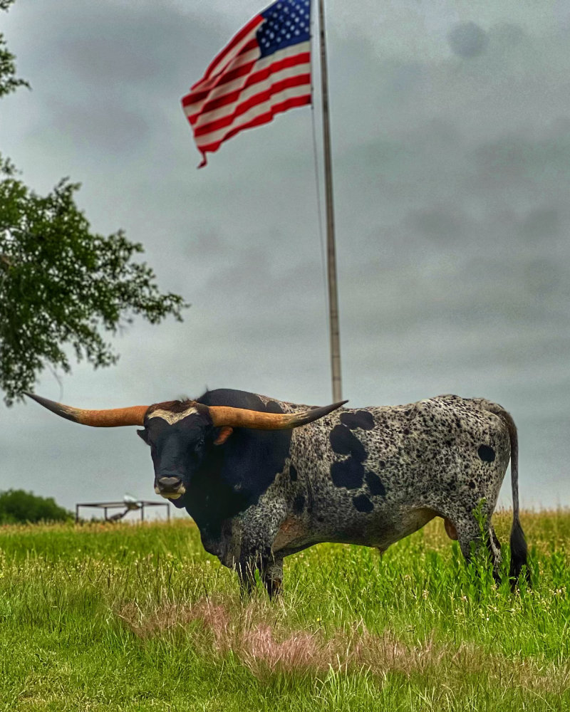 Contact Us: longcreekranch@yahoo.com